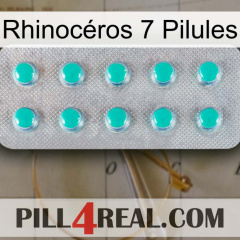 Rhinocéros 7 Pilules 28